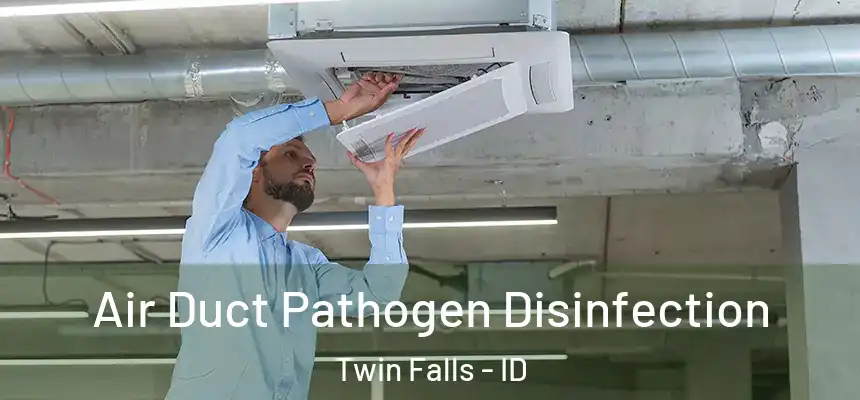  Air Duct Pathogen Disinfection Twin Falls - ID