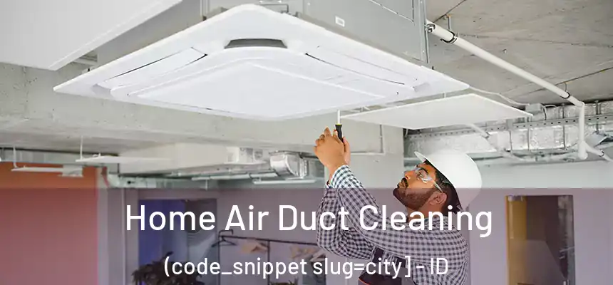  Home Air Duct Cleaning (code_snippet slug=city] - ID