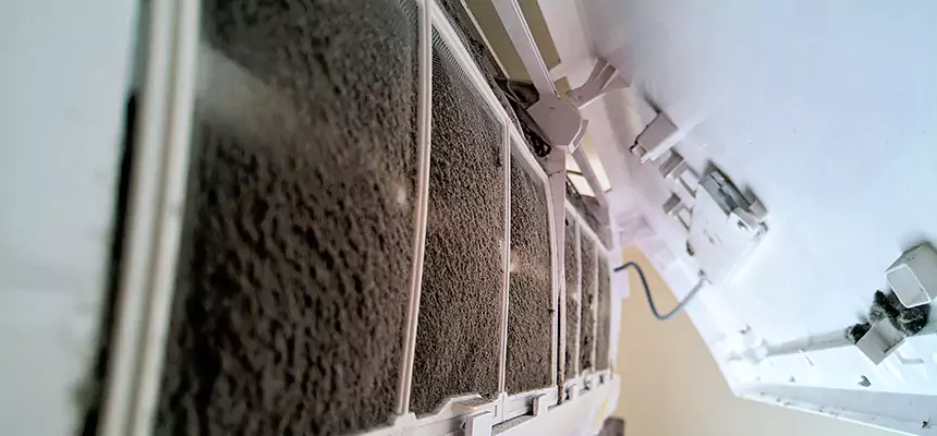 Preventive Air Duct Bacteria Removal in Twin Falls