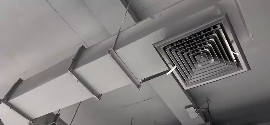 Our Pest Removal From Ducts Services in Twin Falls, ID