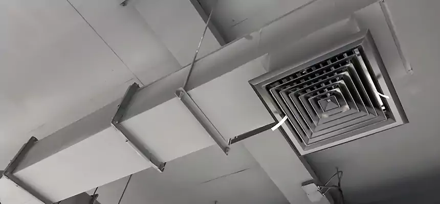 Our Rodent Droppings In Vents Services in Twin Falls, ID