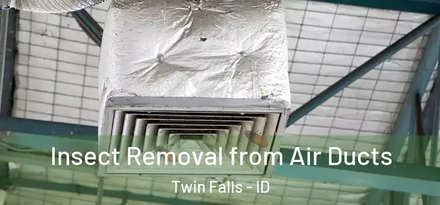  Insect Removal from Air Ducts Twin Falls - ID