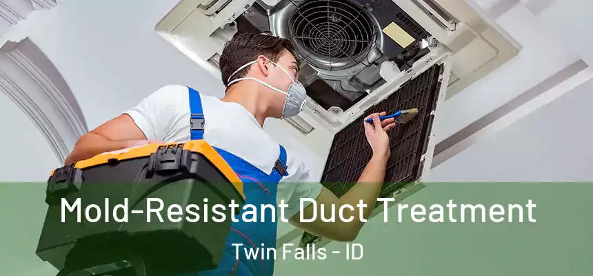  Mold-Resistant Duct Treatment Twin Falls - ID