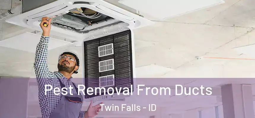 Pest Removal From Ducts Twin Falls - ID
