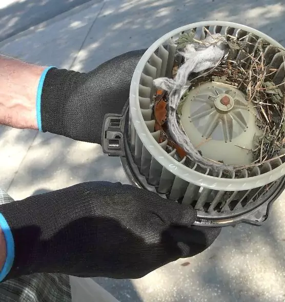 About Air Duct Mice Removal in Twin Falls, ID