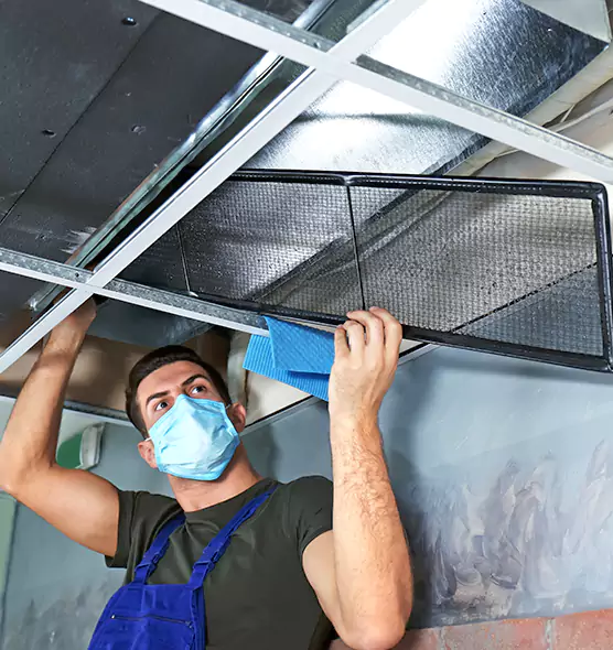 Professional Air Duct Pollen Cleaning in Twin Falls, ID