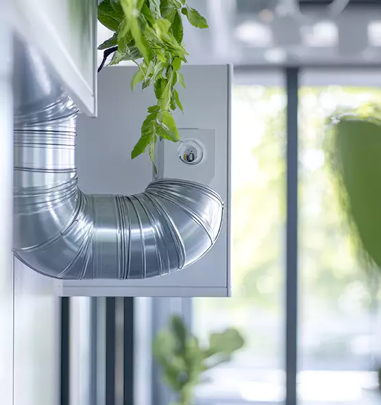 Professional Eco-Safe Dryer Vent Cleaning in Twin Falls, ID