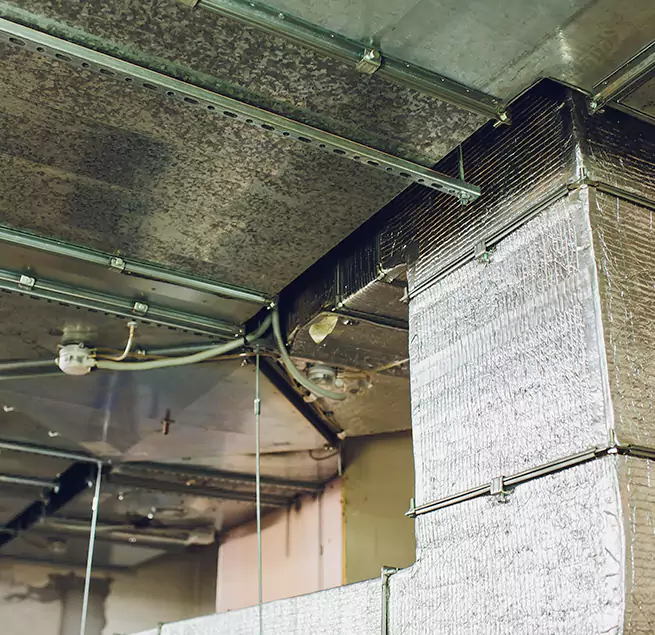 Why Homeowners & Businesses Trust Us in Twin Falls, ID?